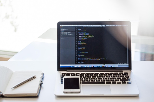 Programming Basics Course