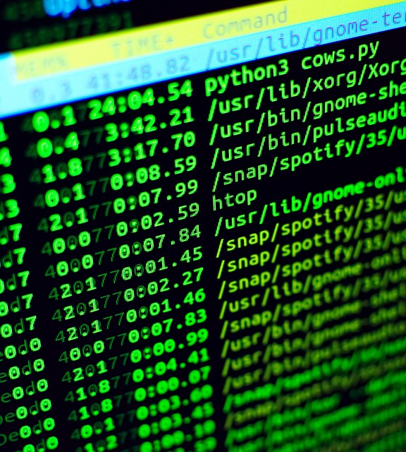 Python Development